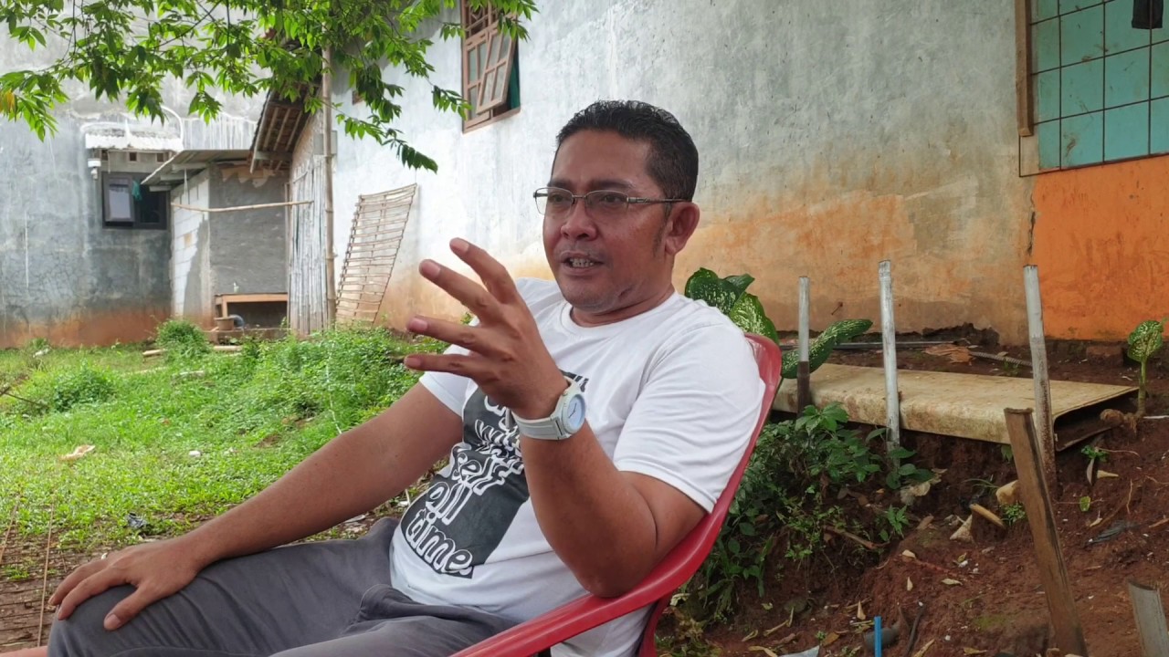 Ternak lele 1000 ekor UNTUNG atau RUGI ??? 