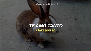 The Golden Orchesta - Bunny, Bunny, Bunny [Lyrics / Sub Español] Resimi