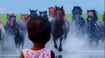 اجمل صوت لشيخ فارس عباد سورة المائدة 27ثانيه ارح سمعك