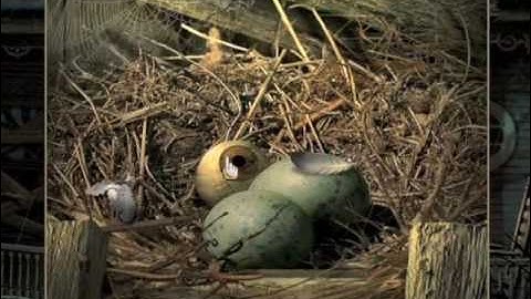 Mystery Case Files: Return to Ravenhearst Walkthrough - Chapter 2