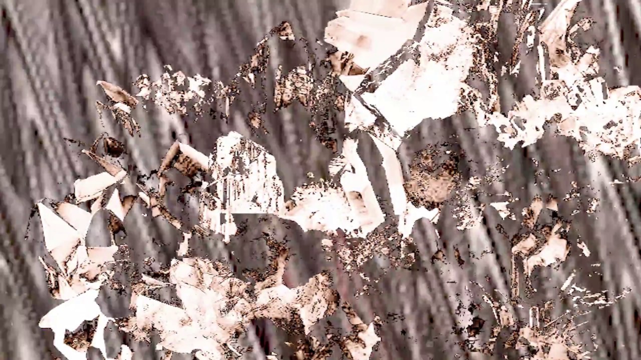 The Skin - YouTube