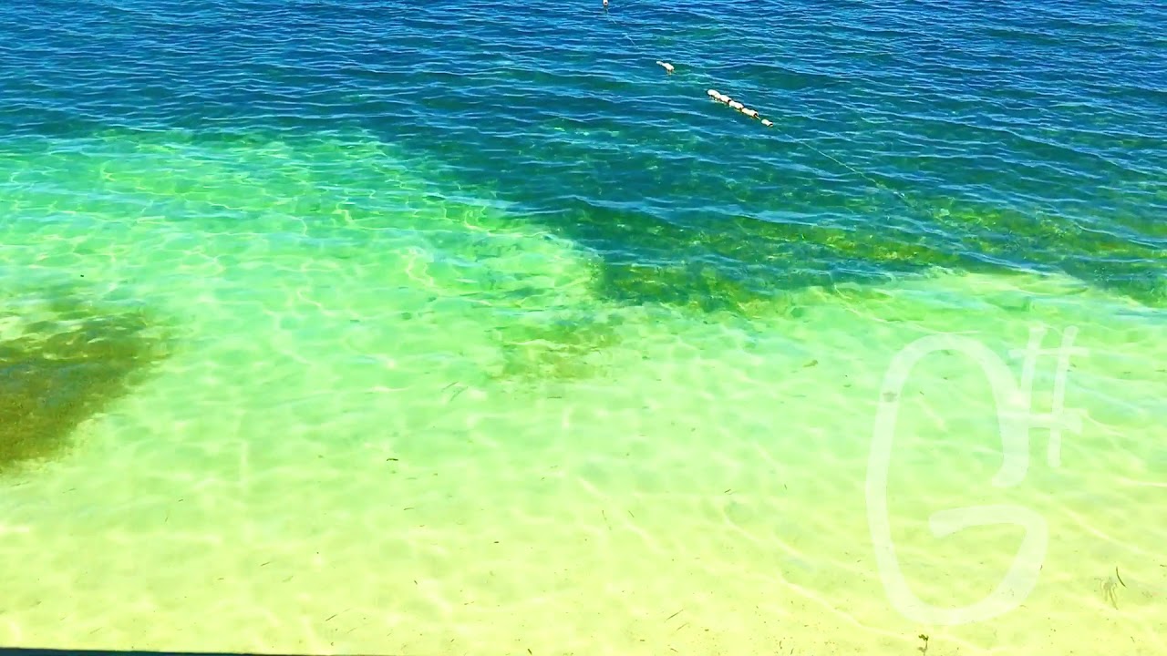 Divine PAD Vol. 3 (Key of G#) Warm, Delicate, Fundamental Synth for your Background Ambience