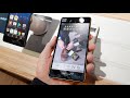 arrows NX F-01K [2017ドコモ冬モデル] コールドモックで外装チェック