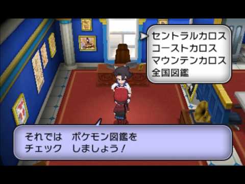 ポケモンxy ひかるおまもりとまるいおまもりをゲットしたよ Youtube