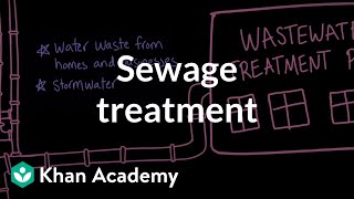 Sewage Treatment Aquatic And Terrestrial Pollution Ap Environmental Science Khan Academy