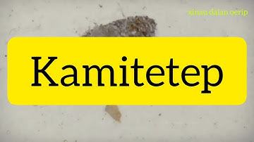 kulit Kamitetep gatal