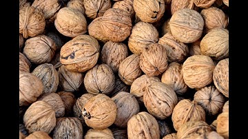 チャイコフスキー　組曲《くるみ割り人形》から 第1曲 「序曲」 Op.71a-1