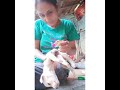 75small puppy wound treatment
