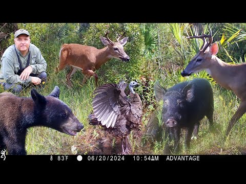 Tim Harrell Browning Trail Camera Pickup