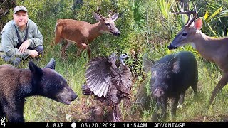 Tim Harrell Browning Trail Camera Pickup