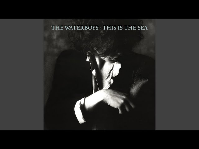 The Waterboys - Trumpets