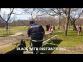 Brooklyn Dog Trainers / Queens Dog Trainers - German Shepard, Charlie Brooklyn Dog Trainers / Queens Dog Trainers - German Shepard, Charlie