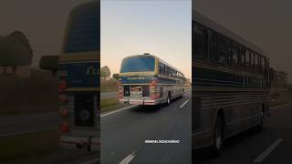 CMA COMETA #onibus #cometa #busologia #chofer