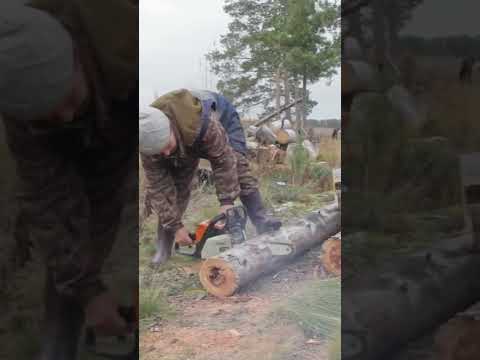 🤔 Жизнь и быт в тайге #крайнийсевер #интересно #охотарыбалка