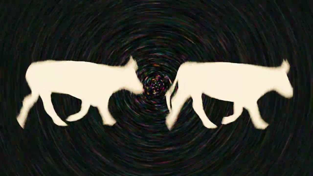 Joyer - At The Movies (Official Video)