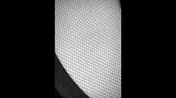 MUPPY x SCARLXRD - 2 WAYS TO DIE (snippet)