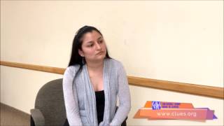 CLUES   Bridge to Customer Service ING SPA