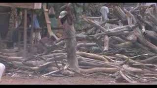 Ouaga Saga - Comedie Africaine 4 Of 8