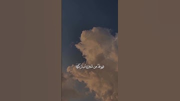 القرآن الكريم للقارى شريف مصطفى|سورة النور