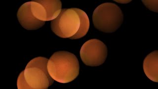 BOKEH ORANGE LIGHTS WITH BLACK BACKGROUND - Free download link