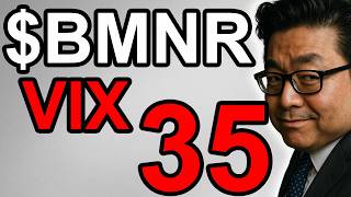 Bmnr Final Bottom Start Now Vix At 35