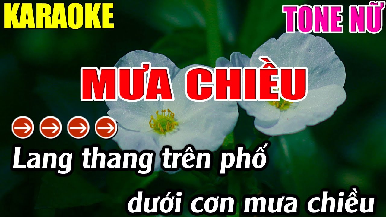 Mưa Chiều Karaoke Tone Nữ Karaoke Lâm Nhạc Sống - Beat Mới