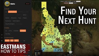Find Your Best Hunt Yet! How To Research with Eastmans TagHub Filters