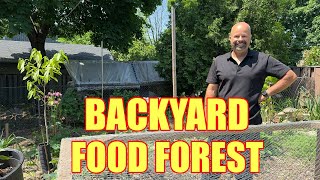 Landscaping Business- Food Forest