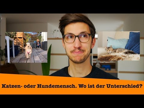 Video: Hundeleute gegen Katzenmenschen