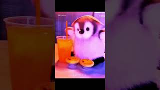 Dil mera Santi hai kithe reh gaya#shorts​​ #singing​​ #lyrics​​ #trending​​ #video​​#viral​​#yt​​