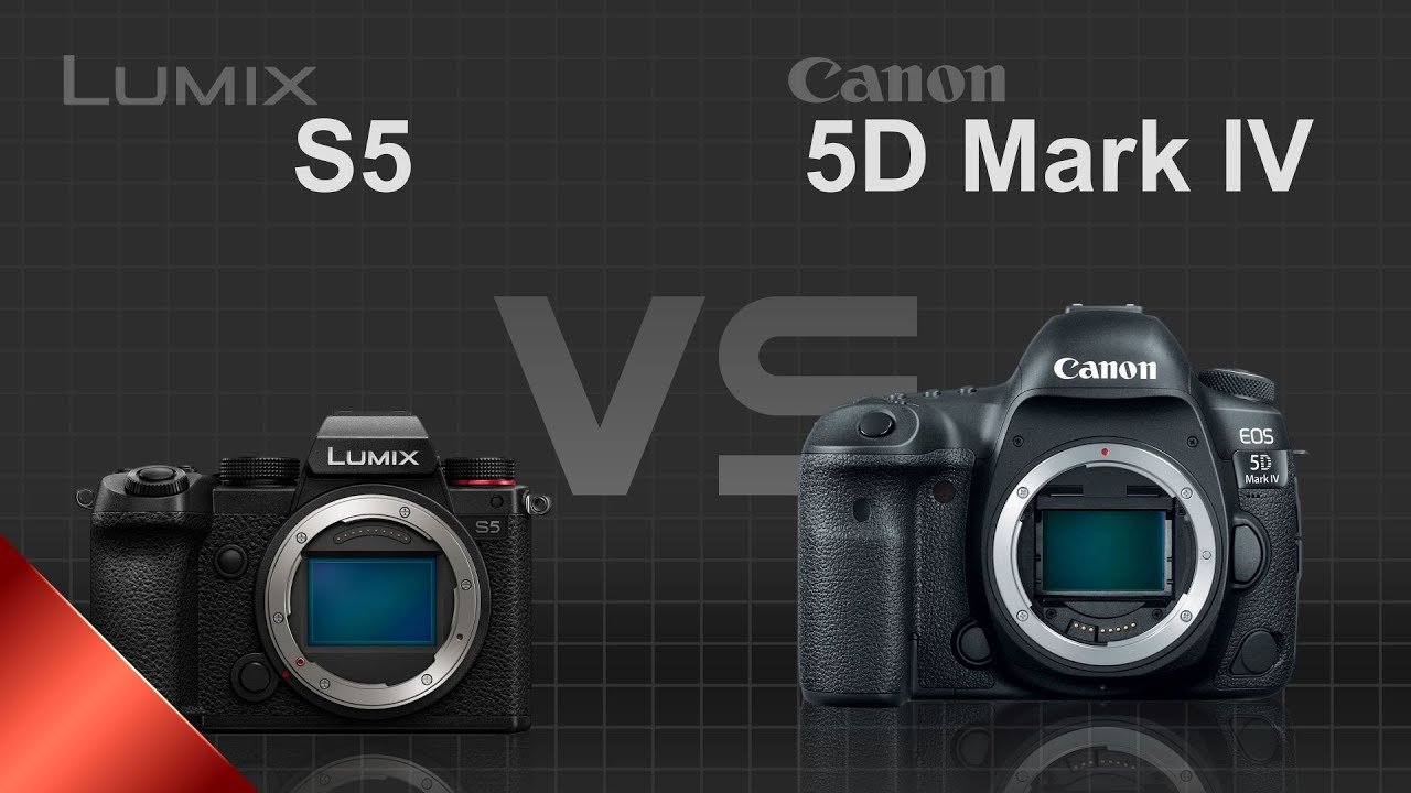 Panasonic Lumix S5 vs Canon EOS 5D Mark IV - YouTube