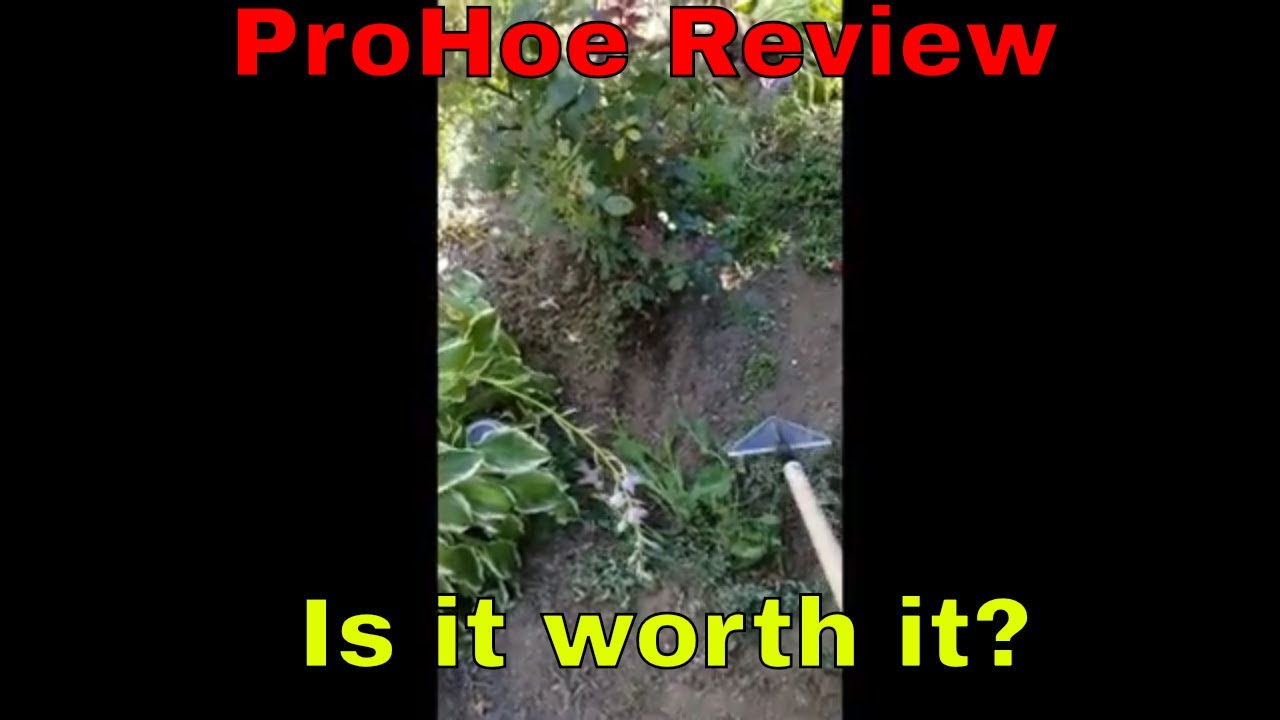 ProHoe Review - Is it Worth it?