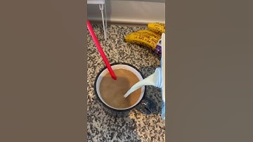 Day In The Life as an NYU Center for Data Science MS student: Ridhika Agarwal