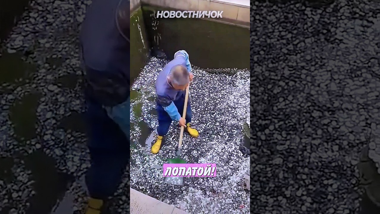 Не шутка: гребут деньги лопатой целыми днями! | Новостничок