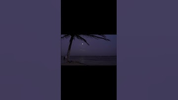 سورة العنكبوت ( قُلْ سِيرُوا فِي الْأَرْضِ فَانظُرُوا كَيْفَ بَدَأَ الْخَلْقَ ) ✨ #قرآن #قران_كريم