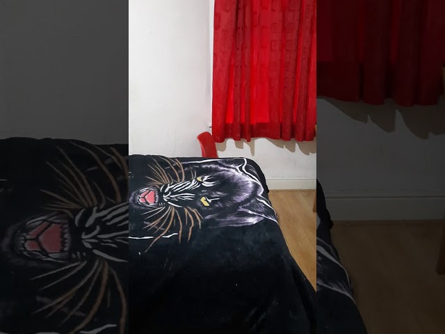 Video 1: Bedroom 