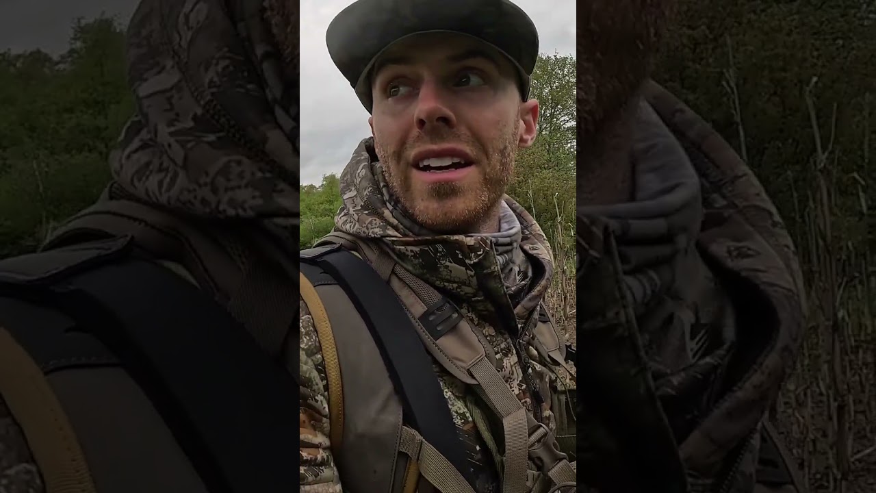 Turkeys Attack! Intense Turkey Hunt Gone Wild! #shorts