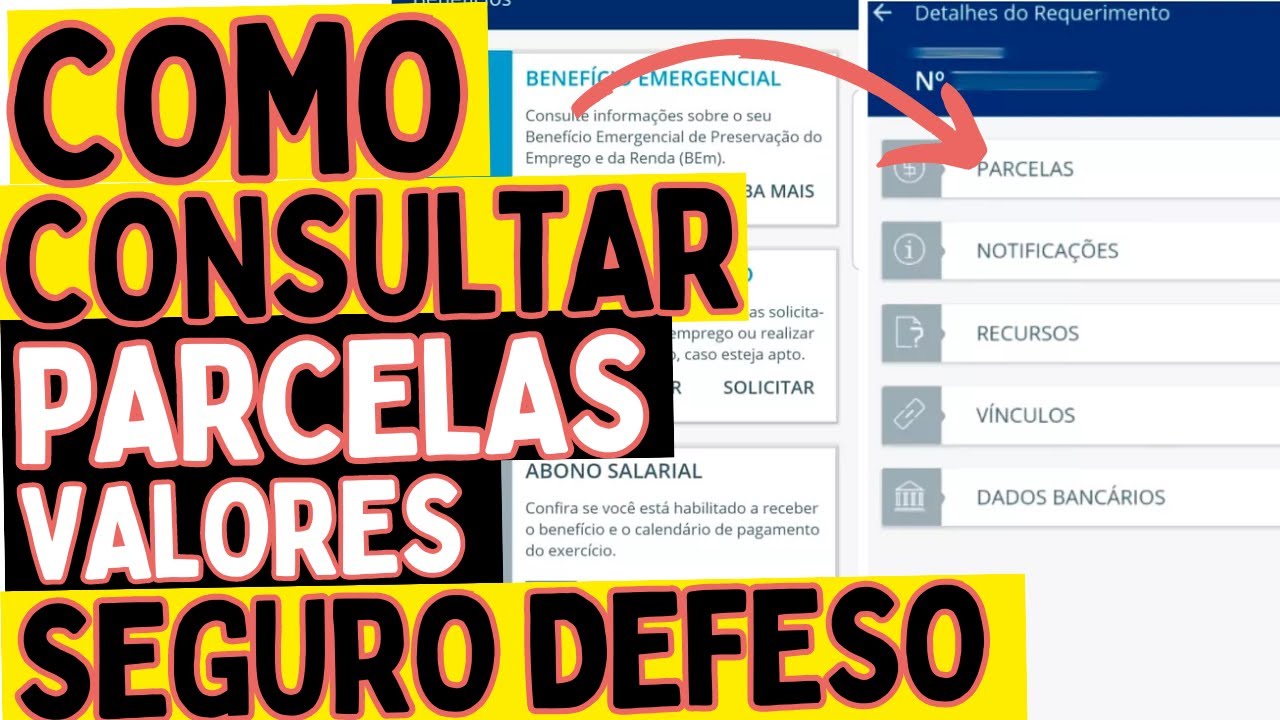 Seguro Defeso Como consultar parcelas - YouTube
