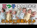 【三つ子】赤ちゃんの成長って本当にあっという間、、を感じる動画