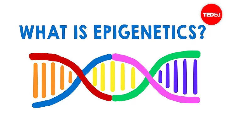 What is epigenetics? - Carlos Guerrero-Bosagna