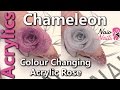 Chameleon Acrylic- Colour Changing Acrylic Rose