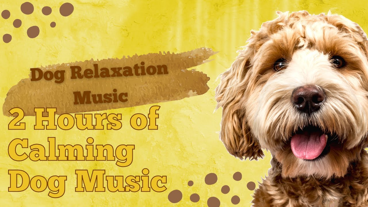 Dog Relaxation 2 HOURS of Calming Dog Music Separation Anxiety Deep Relaxation YouTube