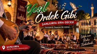 🎵 Yeşi̇l Ördek Gi̇bi̇ Şanlıurfa Sıra Gecesinde Gönüllere Dokunan Türkü