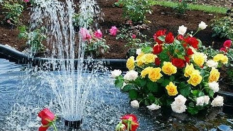 سورة الجن مكتوبة للقارئ مشارى البغلى #أصوات_راقية