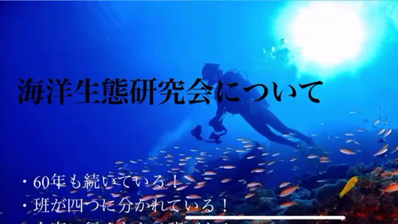 公式】鹿児島大学水産学部 海洋生態研究室 NO12 - YouTube