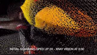 Basement 3D Scan with Xray Vision! (ARKit 4 Point Cloud)
