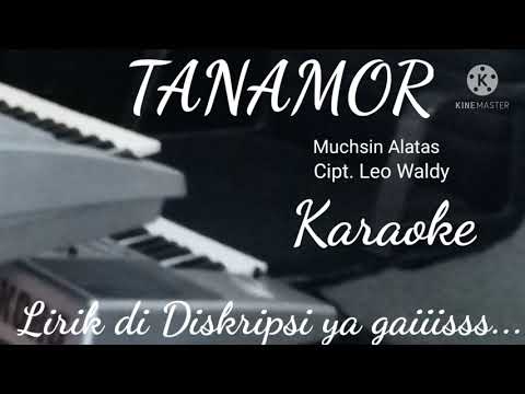 TANAMOR - Muchsin Alatas. Cipt. Leo Waldy