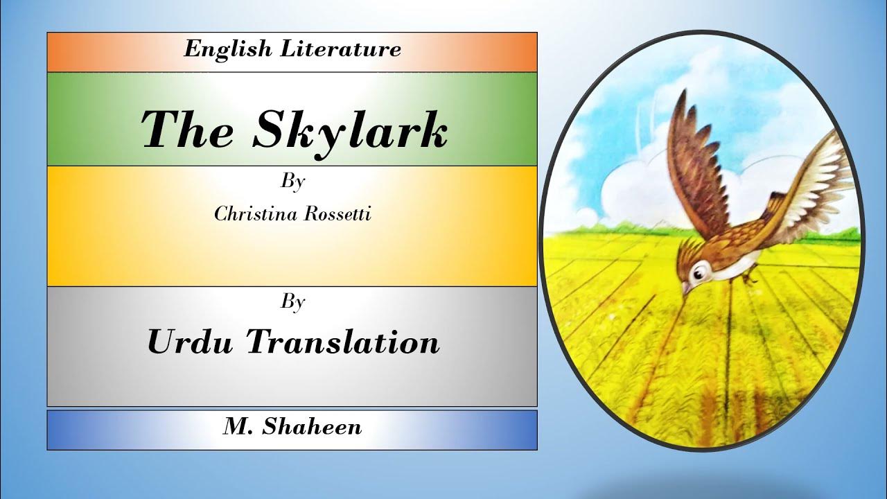 The Skylark Poem Urdu Translation New Oxford Modern English Grade 5 the-skylark-poem-urdu-translation-new-oxford-modern-english-grade-5
