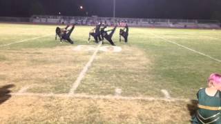 PVHS Dance Team 2015-16