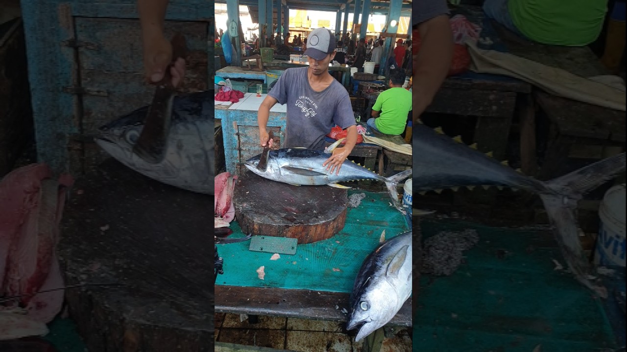 Tuna Cutting Skills Indo | GREAT SKILLS 